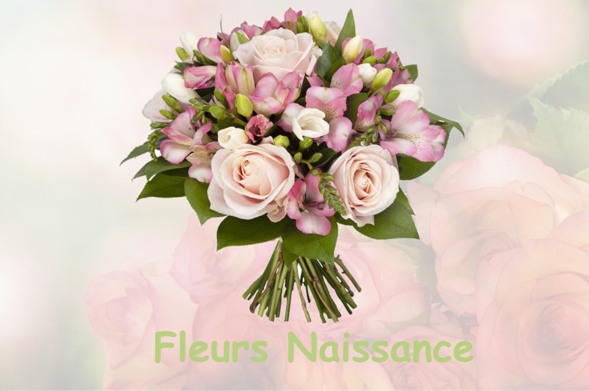 fleurs naissance OSCHES